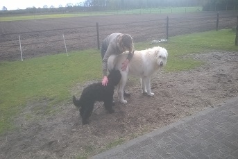 aranka97