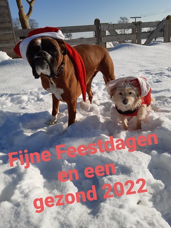 danaguusje
