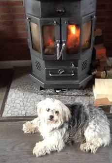 drazs19