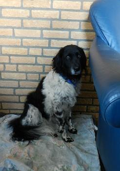 famke129