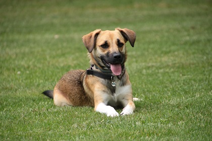 flo48