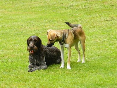 flo67
