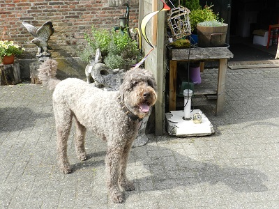 floris1