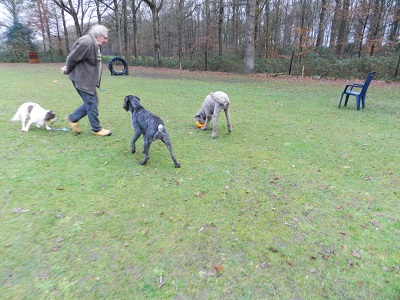 floris112