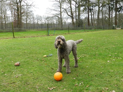 floris127
