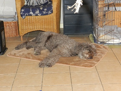 floris153