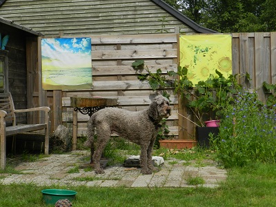 floris156