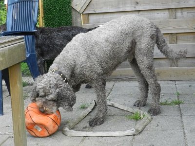 floris172