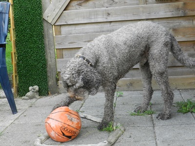 floris173