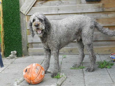 floris174