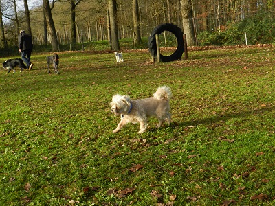 flufa52