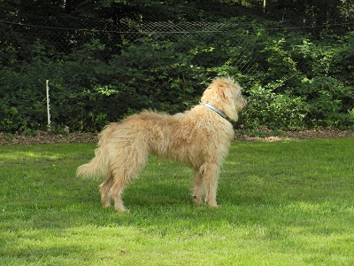 gerda285