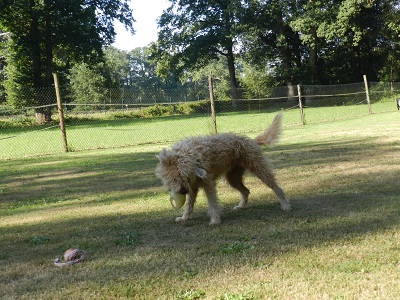 gerda310