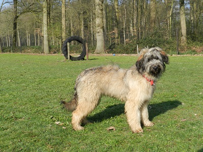 gerda2 16