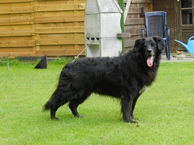 hannes102