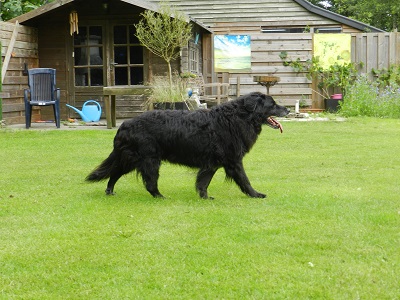 hannes103