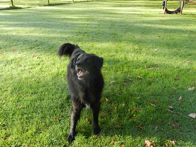 hannes11