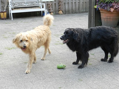 hannes26
