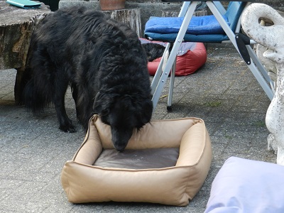 hannes27