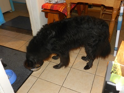 hannes38