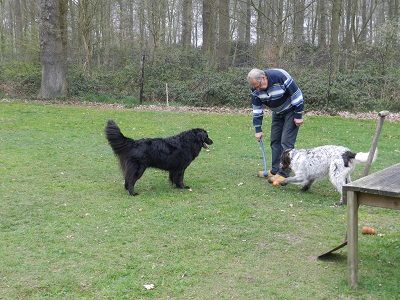 hannes44