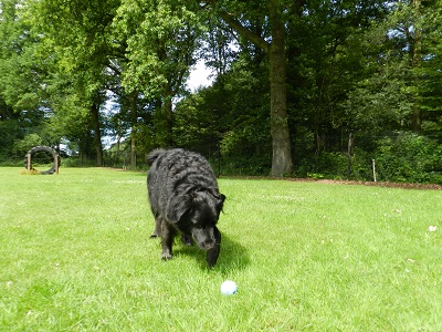 hannes7