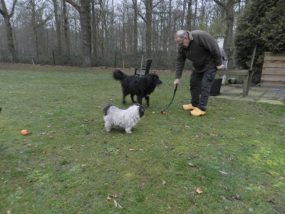 hannes81