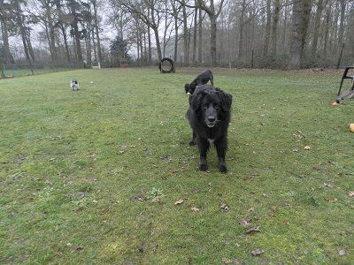hannes85