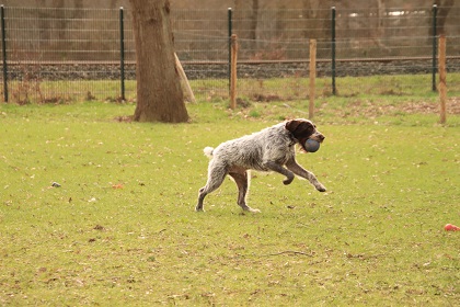 ilse2
