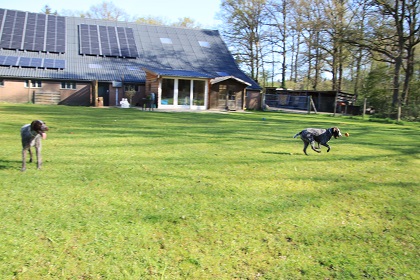 ilse21