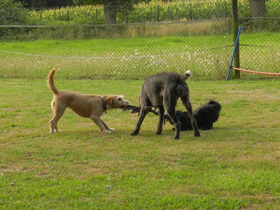 jolan2005