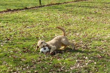 jolan45