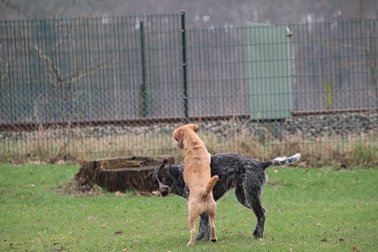 jolan578