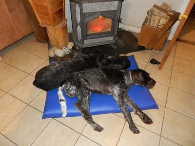 kas85