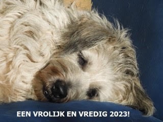 noortje