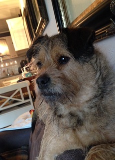 lotti56
