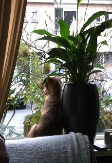 lotti8