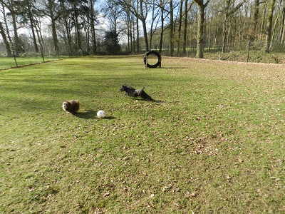 meissy6