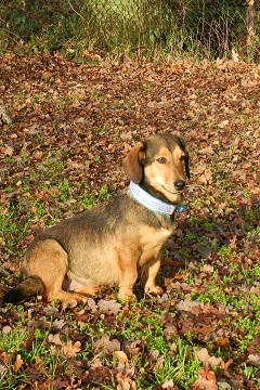 Betty1