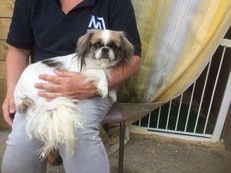 peki3