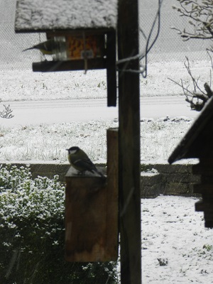 winter1