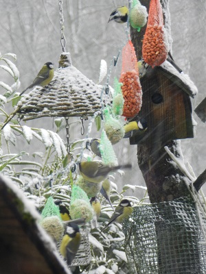 winter2