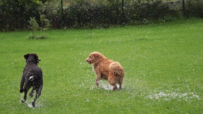 oh2685