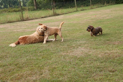 oh4052