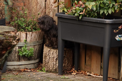 oh6035