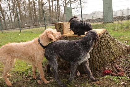 oh7021