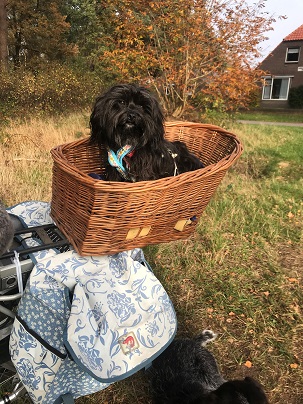 oh1683