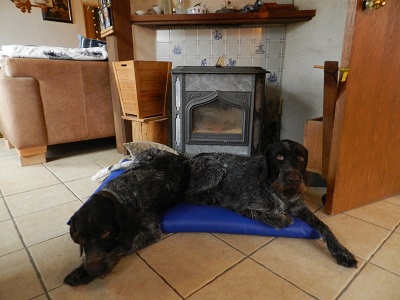 oh1697