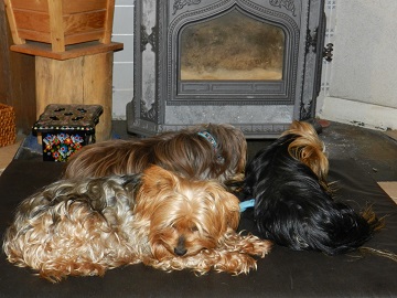 oh652