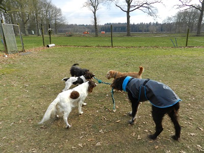 oh975